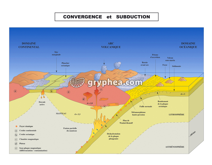  Subduction - Schéma annoté - infographie - gryphea.com